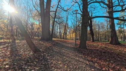 Kamieniec, Lewiatan, Zbrosławice, Śląsk, Polska