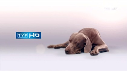 TVPHD - 05-01-2022 - Start programu, Ogłoszenie nadawcy, Reklama