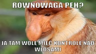 Czy warto iść na THERMOCUT? Maski na skórę głowy, BANFI