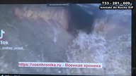 Wkłady balistyczne do kamizelek