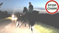 Agresywna koniara - po ciemku dwa konie na drodze #1598 Wasze Filmy