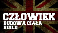 Człowiek budowa ciała - build nauka słów z języka angielskiego