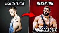 Twój Testosteron NIE MA ZNACZENIA Bez Tej Rzeczy!