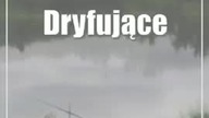 Puławy.  Dryfujące zwłoki zauważył wędkarz