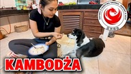 Polacy w Kambodży.