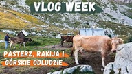Pasterz w Durmitorze zaprosił nas na rakije | VLOG WEEK