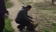 Właściciel odnalazł zaginionego psa po trzech latach
