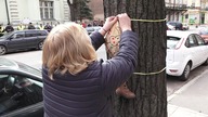Hańba biskupa w Gorzowie