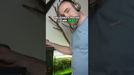 Przeprowadzam ryby do innego akwarium 