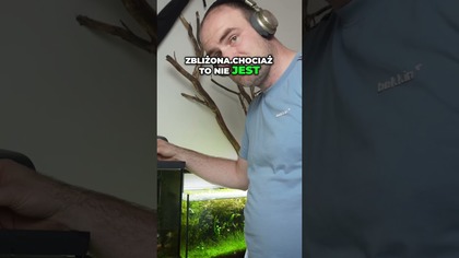 Przeprowadzam ryby do innego akwarium 