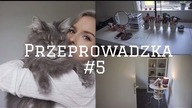 PRZEPROWADZKA - znowu przestawiam meble, jest pieknie #5