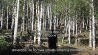 szczescie na piasku