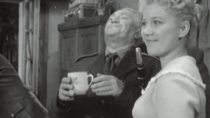 Akcja filmu toczy się latem 1948 roku na czesko-niemieckim pograniczu w Šumavie. Pojawiło się tam wiele osób, które chciały opuścić kraj po lutowym przewrocie komunistycznym, ale tylko nieliczni znają drogę poprzez bagna, wiodącą na Zachód. Jeden z takich przewodników nazywany jest królem Šumavy - nikomu jeszcze nie udało się go schwytać. Dzieła tego postanawia dokonać sierżant Zeman, świeżo przybyły do granicznej placówki...
