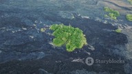 invideo-ai-480 World Stunned New Islands, Warp Drive, 2025-10-15