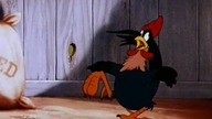 Kaczor Donald - Hipnoza