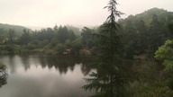 odc 1 - Camp Redwood