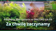 Wieczorny STREAM [LIVE #64]