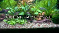 Drobne zmiany w akwarium 54L