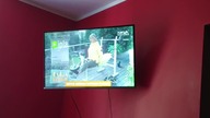 [CAMRIP] Nowa TV Poland [29.03.2024] - Continuity