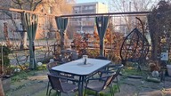 Grudniowy poranek w Garden kuRaż * 28. 12. 2024