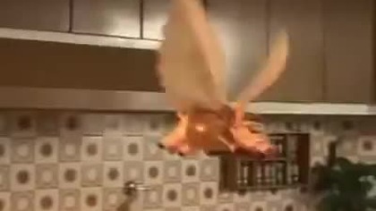 Mixta - Explication Flying Pig Commercial (2008)