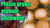 Ptasia grypa rozprzestrzenia się po Europie i Azji