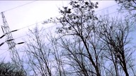 Film o Uzależnieniach