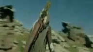 Bo ja tańczyć chce - Grupa LOTR