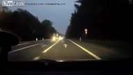 Niespodzianka na drodze