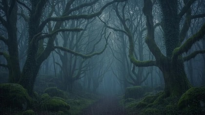 Rainy Forest Path in Deep Mist  Heavy Rain Sounds for Deep Sleep & Relaxation