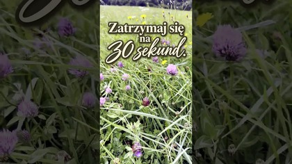Zatrzymaj się na 30 sekund 