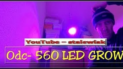 Odc-560. Cz. 1-Doświetlanie siewek, testowanie lampy led grow.