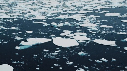 Zbyt ciasny system / Outgrow the System (2023) - Cały Film Lektor PL