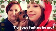 Mikołajkowa Pomoc dla schroniska