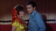 Roustabout. Wagabunda. 1964. Lektor.pl
