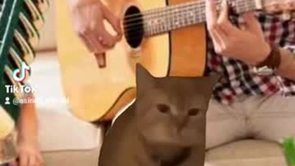 Kiedy próbujesz śpiewać włoską piosenkę, ale znasz tylko dźwięki #meme #singingcat