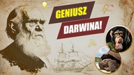Jak powstała TEORIA EWOLUCJI?