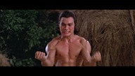 Niezwyciężony Shaolin / Nan Shao Lin yu bei Shao Lin (1978) Lektor PL