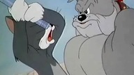 Tom i Jerry 62 (Dubbing PL)