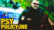 10 CIEKAWOSTEK O PSACH POLICYJNYCH