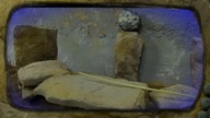 Naftaliniak