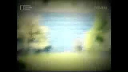 Zjawiska paranormalne - Potwory z morskich głębin [Lektor PL]