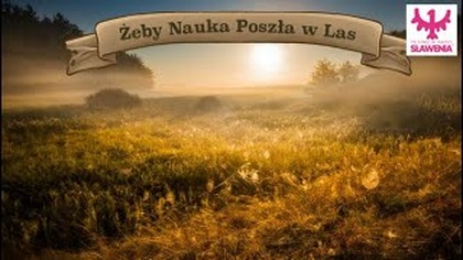 SPS #58 pt Żeby Nauka Poszła w Las 