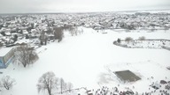 Morsy widziane z góry.  14. 01. 2024, Suwałki.