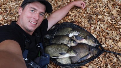 Pellet feeder i ładne wieczorne leszcze