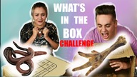 WHATS IN THE BOX CHALLENGE || Just Siblings!