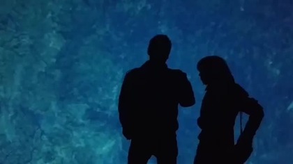 Contemporary Art Centre, Vilnius, Lithuania.  Vitalijus & Alwida