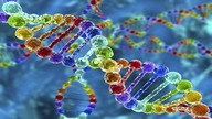 Jak ludzkie DNA walczy z mikroorganizmami?