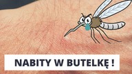 Prosta pułapka na komary