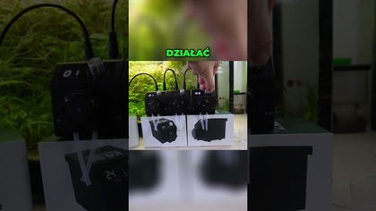 Prosty system dawkowania nawozu   łatwe i efektywne! #akwarium #akwarystyka #nawóz #invital